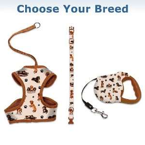  The Complete Three Piece Walking Set For Your Favorite Dog 