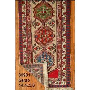    3x14 Hand Knotted Sarab Persian Rug   36x144