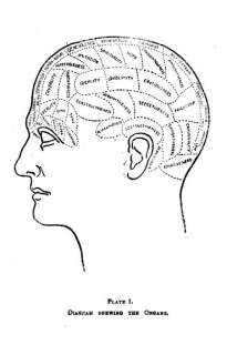 PHRENOLOGY How to Read HEADS 1901 Book on CD ROM  