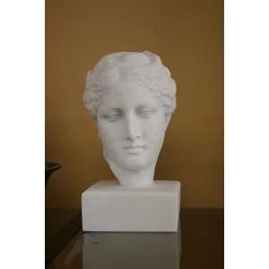  Hygeia Head 8.5 Tall Museum Marble Replica Everything 