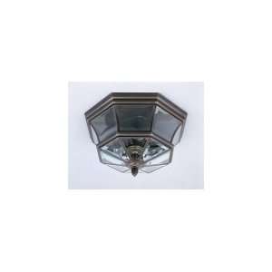  Newbury Bronze Outdoor Flush 15.5 W Quoizel NY1794Z