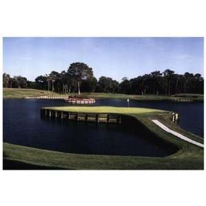  TPC Sawgrass #17 #352 by Unknown 12x8