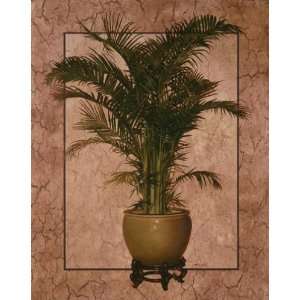  Potted Palm I by Tc Chiu. size 22 inches width by 28 