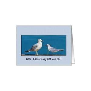  Birthday, 60th, Gull and Tern Birds Card Toys & Games