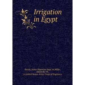  Irrigation in Egypt. Julien Hippolyte Eugßene. Miller 