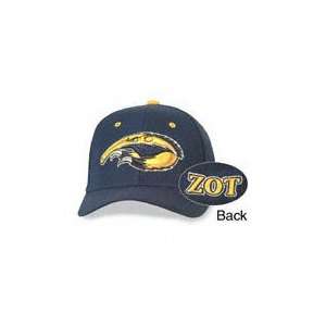  University of California Irvine Fitted Cap Sports 