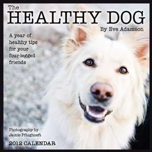  Healthy Dog A Year of Healthy Tips for Your Four Legged 