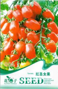 Bag 30 Seed Tomato Vegetable Fruit Food HOT Seed B065  