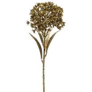  26 Glittered Queen Anne?s Lace Spray Gold (Pack of 12 