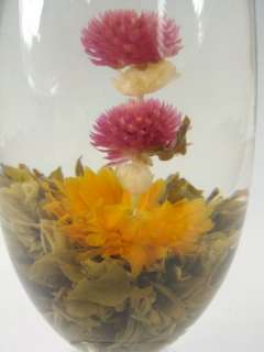 Glass Teapot + 12 Blooming Flowering Tea Gift Set C  