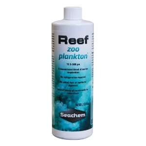  Reef Zooplankton