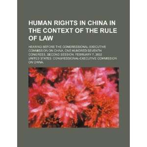  Human rights in China in the context of the rule of law 