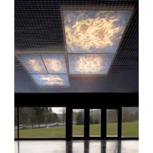 Planum large ceiling light   orange, Non Dimmable, 110   125V (for use 