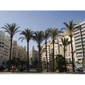  Plaza Ayuntamiento, Palm Trees, Buildings, Valencia 