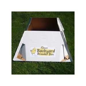  Brooder Box Backyard