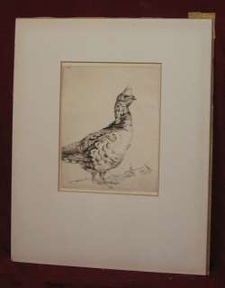 Pencil Signed Etching H.E. Tuttle Game Bird Grouse ?  