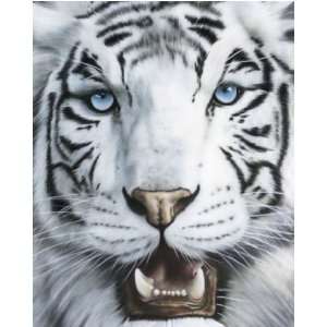  LAMINATED Tigre Blanco 20 x 16 (50 x 40cm) MINI POSTER 