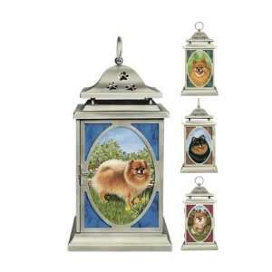    Pomeranian Lantern by Barbara Higgins Bond