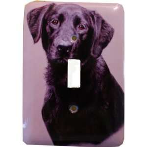 Black Labrador Retriever Dog Single Switch Plate