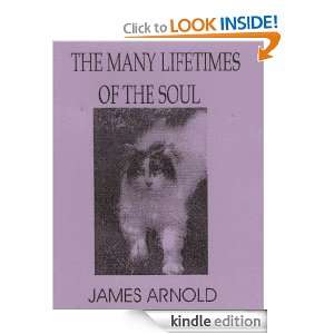 The Many Lifetimes of the Soul James Arnold, James McQuitty  