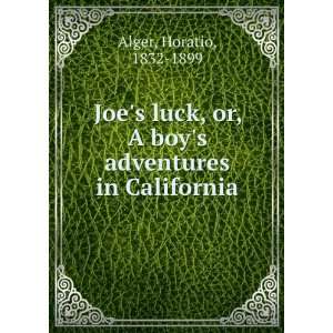 Joes luck, or, A boys adventures in California Horatio, 1832 1899 