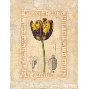  Tulipanes Bessi Poster Print