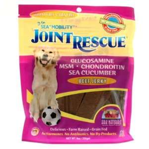   Mobility with MSM/Glucosamine/Sea Cucumber, Beef Jerky 22 strips Bag