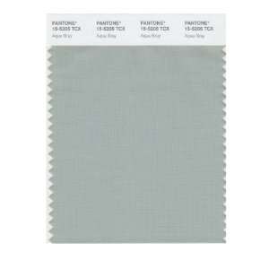  PANTONE SMART 15 5205X Color Swatch Card, Aqua Gray