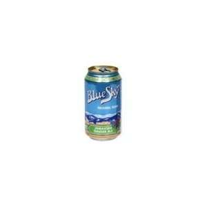 Blue Sky Jamaican Ginger Ale Soda ( 4 x 6 PK)