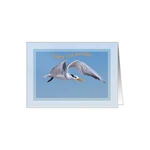    70th Birthday Card with Royal Tern in Flight Card Toys & Games