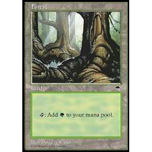  Magic the Gathering Forest B   Tempest Toys & Games