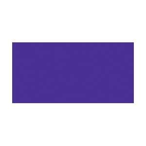  Palmer Prism Tempera Paint 8 Ounces Purple 14 5408; 4 