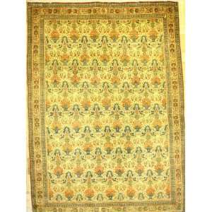  4x6 Hand Knotted Tehran Persian Rug   410x68