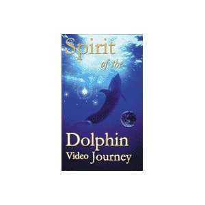  Dolphin Video Journey