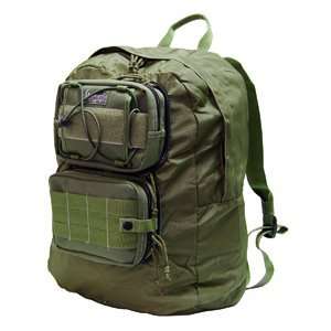  Merlin Folding Backpack, Green