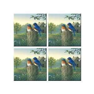  McGowan TT92380 Tuftop Country Morning Bluebirds Coasters 