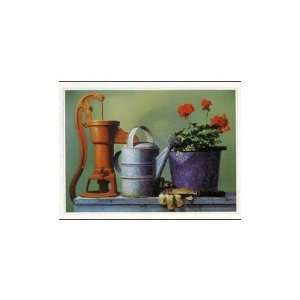  Country Still Life Poster Print