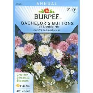  Burpee 30668 Bachelors Buttons Tall Double Mix Seed 