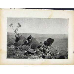   Boer War By Richard Danes Boers Firing Down Convoy