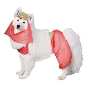   By Rubies Costumes Harem Dog Costume   Size Small 