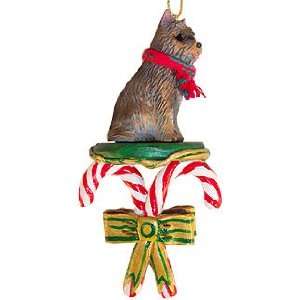  Cairn Terrier Dogs Candy Cane Christmas Ornament New