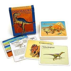  Dinosaur Knowledge Cards Toys & Games