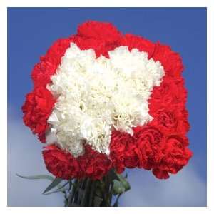 Christmas Color Carnations 350 Grocery & Gourmet Food