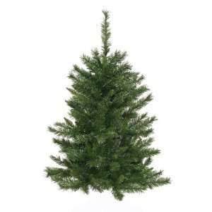  3? Imperial Pine Wall Tree 166t
