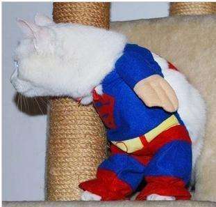Superman Pet Cat Dog Costume Party clothes size S  