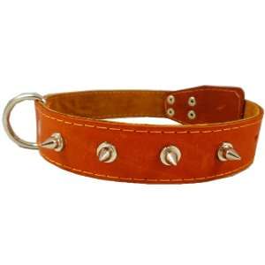  Genuine Leather Spiked Dog Collar for Large and XLarge 