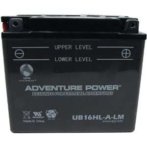  Champion 16HL A LM Replacement Battery Electronics