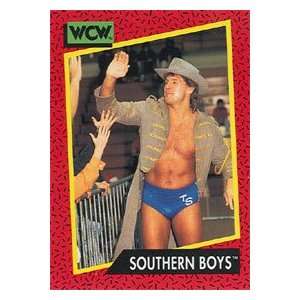   Impel Wrestling Trading Card #137  Southern Boys