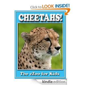 Cheetahs (The eZoo for Kids) Cody Morrow  Kindle Store