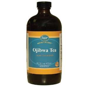 Ojibwa Tea Concentrate, 16 Oz Grocery & Gourmet Food